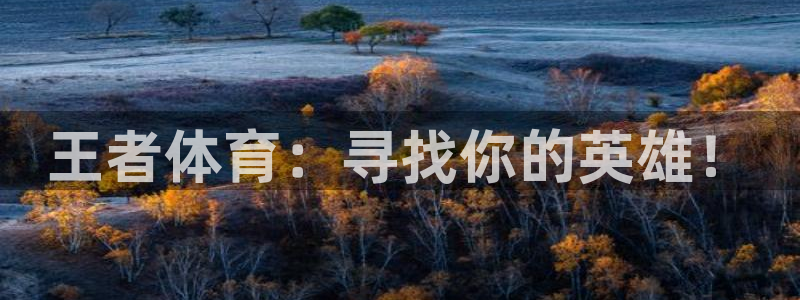 88直播看球吧：王者体育：寻找你的英雄！