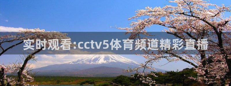 篮球比赛直播在线观看球吧网：实时观看:cctv5体育频道精彩直播