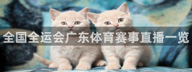 免费看球吧：全国全运会广东体育赛事直播一览