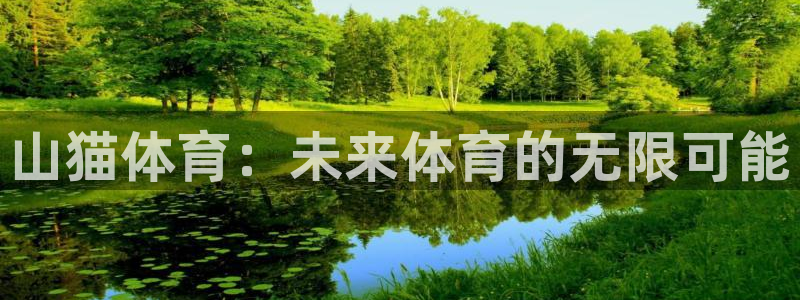 看球吧nba直播：山猫体育：未来体育的无限可能