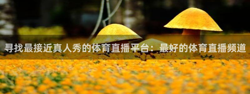 看球吧在线观看：寻找最接近真人秀的体育直播平台：最好的体育直播频道