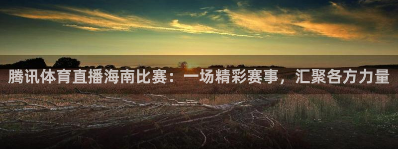 看球吧直播：腾讯体育直播海南比赛：一场精彩赛事，汇聚各方力量
