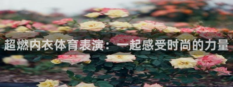 看球吧直播免费观看：超燃内衣体育表演：一起感受时尚的力量