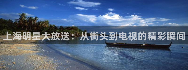 看球吧中超直播：上海明星大放送：从街头到电视的精彩瞬间