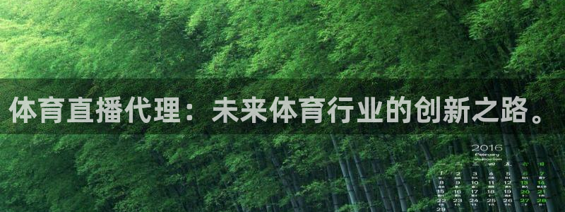 看球吧直播在线观看：体育直播代理：未来体育行业的创新之路。