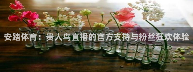 体育直播看球吧：安踏体育：贵人鸟直播的官方支持与粉丝狂欢体验