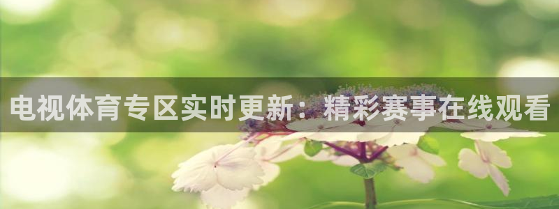 零点直播吧看球吧：电视体育专区实时更新：精彩赛事在线观看