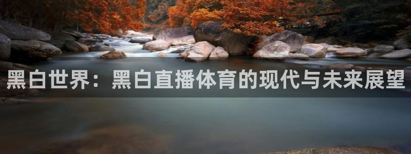 看球吧免费直播：黑白世界：黑白直播体育的现代与未来展望